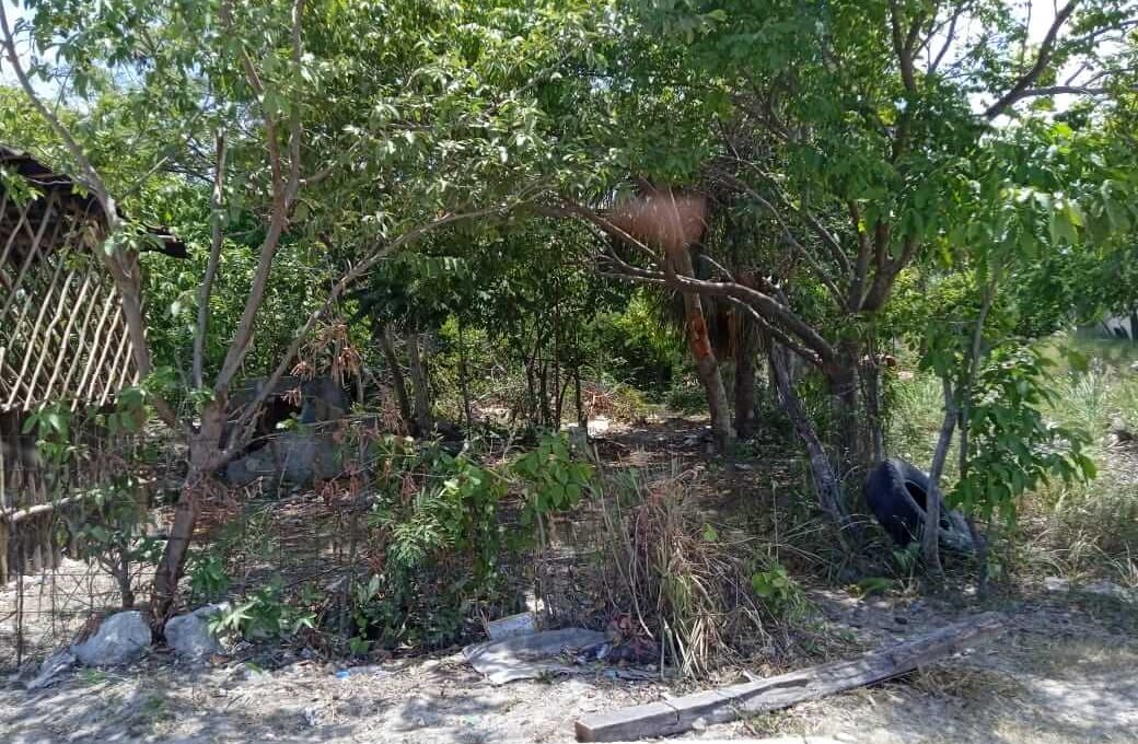 Rancho Viejo 5,000mts 2024-02-23 at 5.14.50 PM (1)