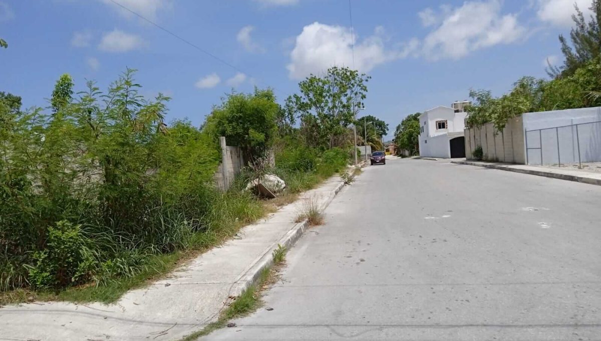 Rancho Viejo 5,000mts 2024-02-23 at 5.14.50 PM (2)