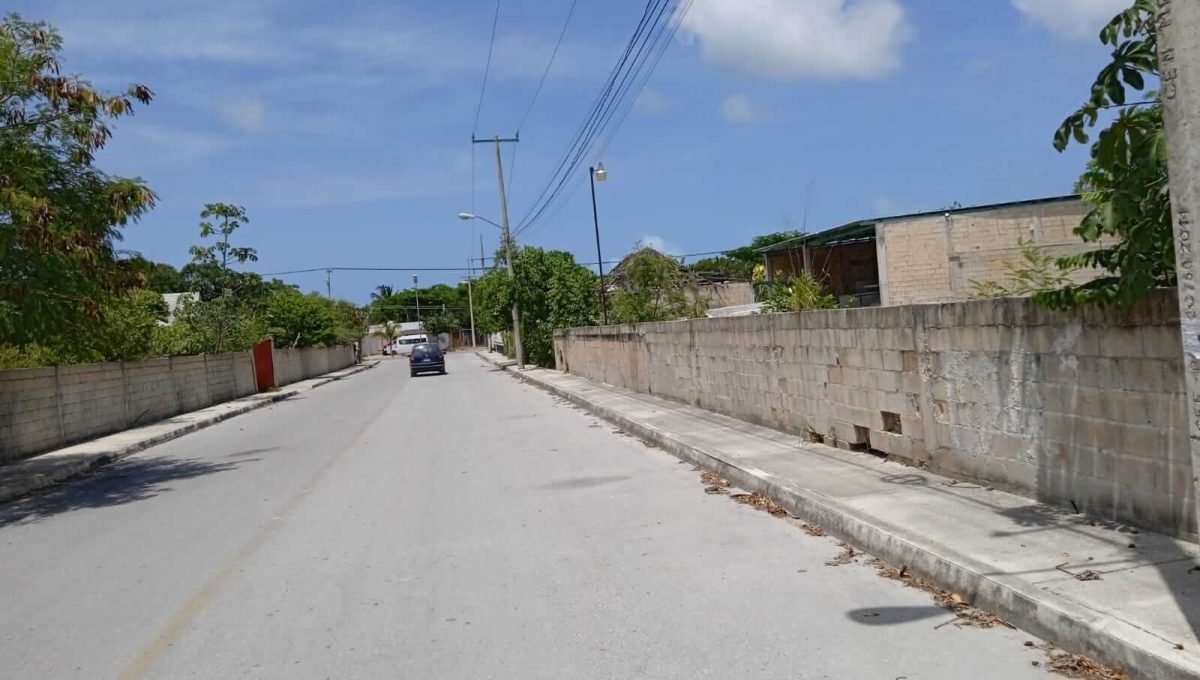 Rancho Viejo 5,000mts 2024-02-23 at 5.14.50 PM (3)