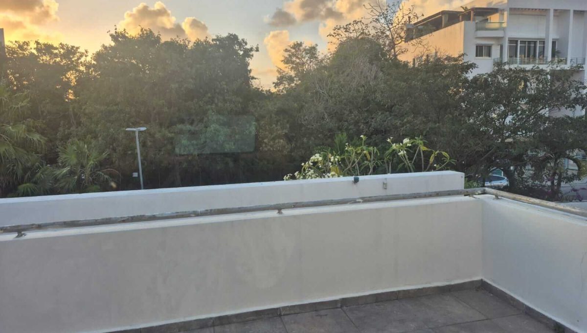 SM 12 Av. Holbox 2026-04-06 at 1.14.07 PM-3