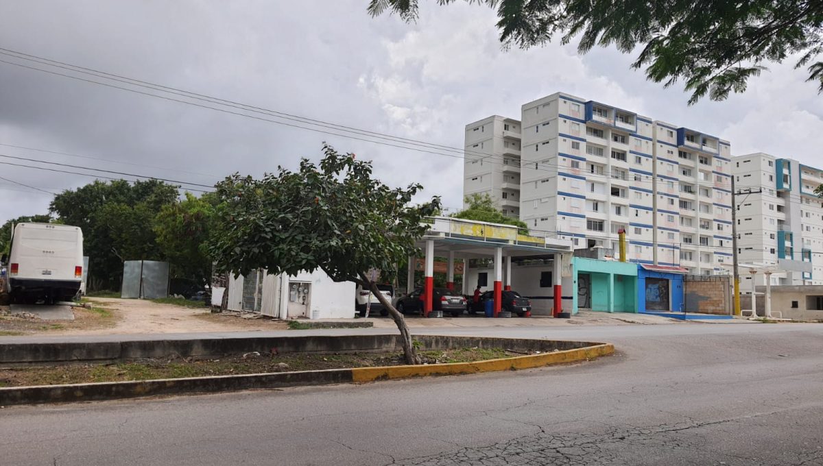 WhatsApp Image 2022-01-24 at 15.35.57