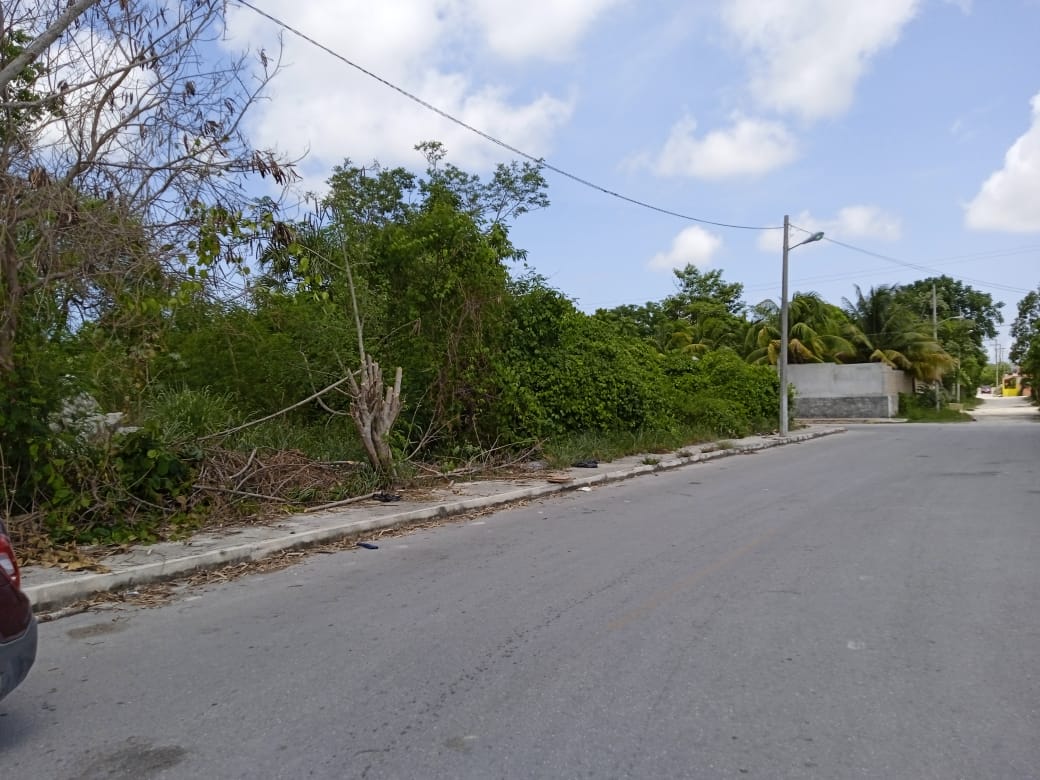 Terreno Venta Cancún Av. Rancho Viejo 5,000 mt2