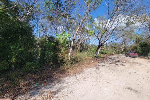 WhatsApp Image 2024-04-02 at 2.22.44 PM (1)