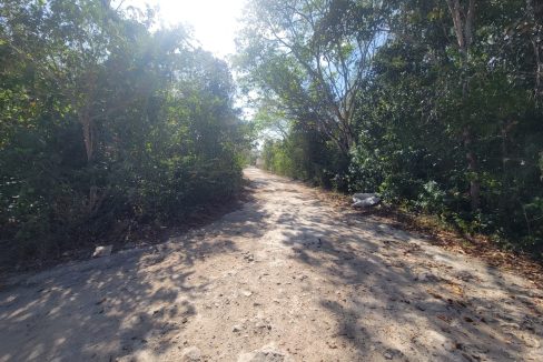 WhatsApp Image 2024-04-02 at 2.22.44 PM (2)