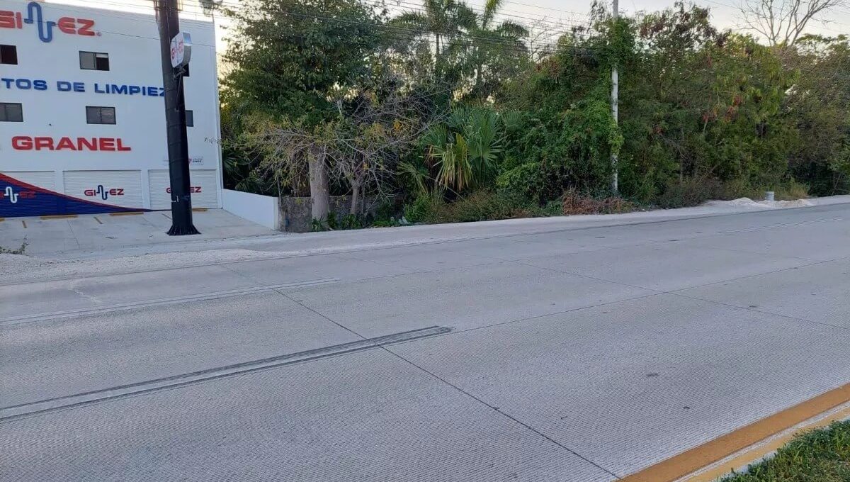 WhatsApp Image 2024-04-30 at 3.27.46 PM (1)