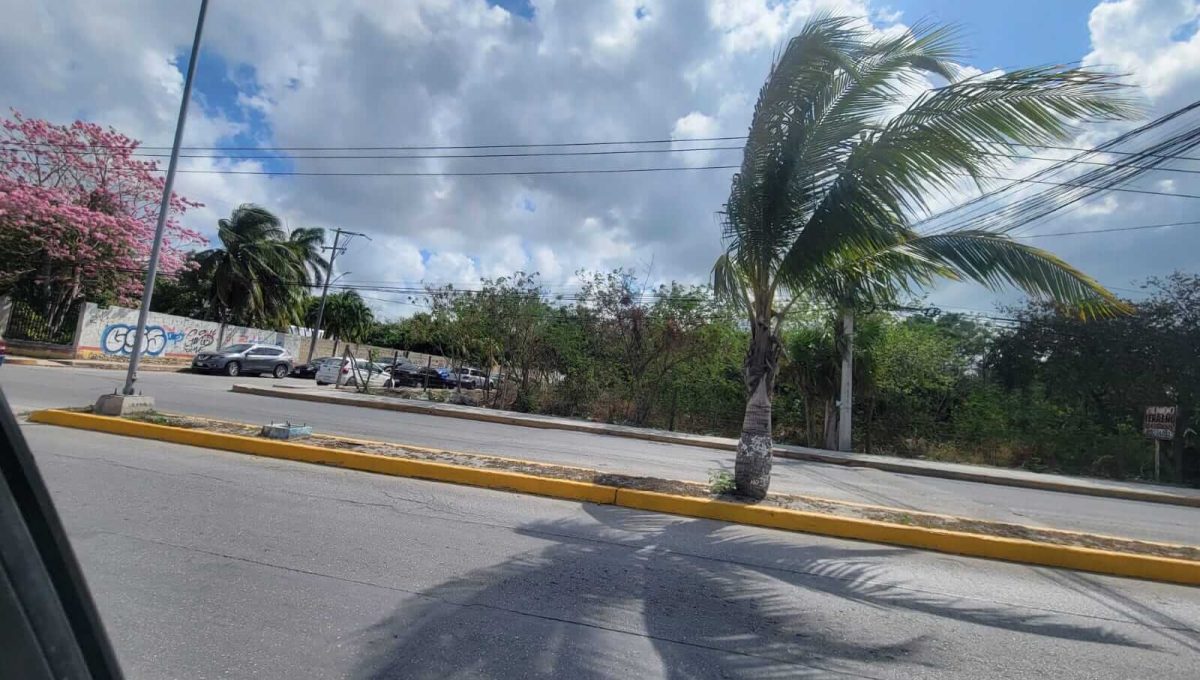 WhatsApp Image 2024-05-15 at 2.27.41 PM-2