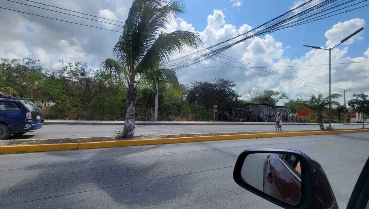 WhatsApp Image 2024-05-15 at 2.27.41 PM-3