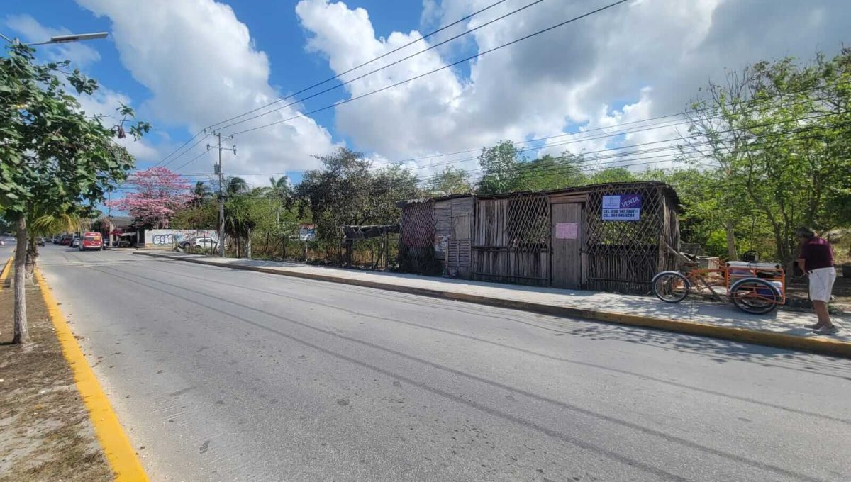 WhatsApp Image 2024-05-15 at 2.27.41 PM-4