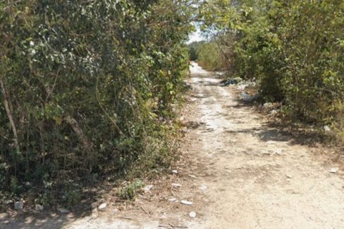 WhatsApp Image 2024-05-17 at 1.48.55 PM (3)