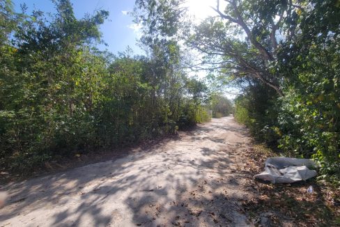 WhatsApp Image 2024-05-17 at 1.48.55 PM (4)